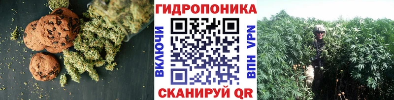 Купить закладки  Тамбов  Печенье с ТГК марихуана