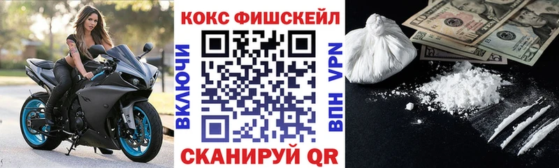 Купить закладки  Тамбов  Cocaine FishScale 