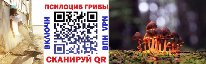 Купить  Тамбов  Галлюциногенные грибы MAGIC MUSHROOMS 